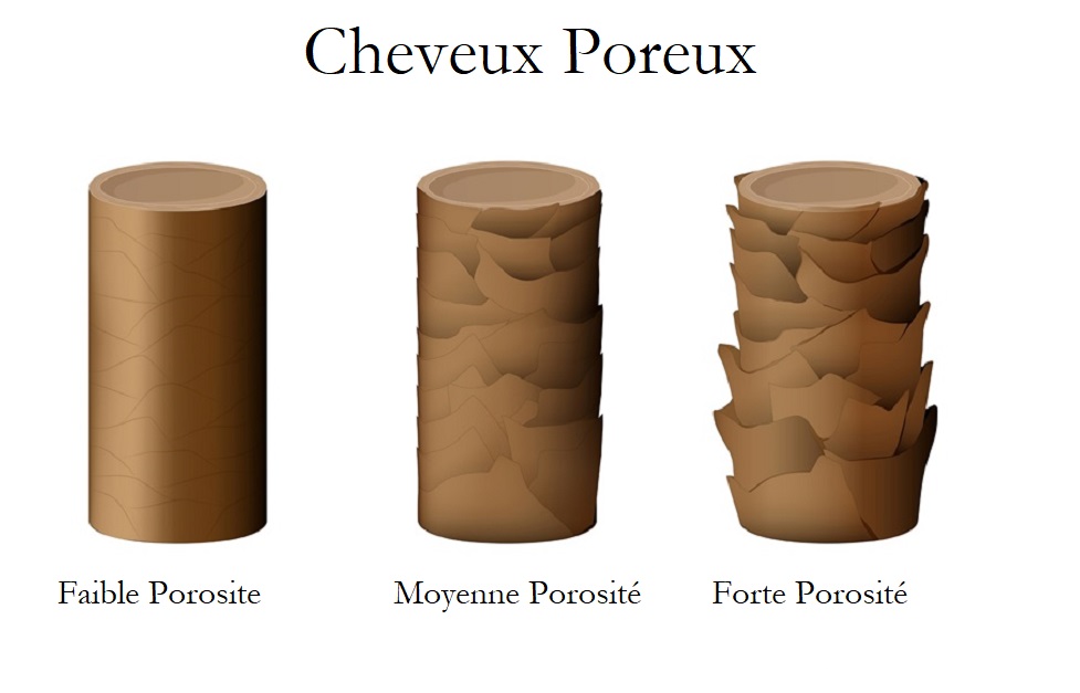 Porosit des cheveux